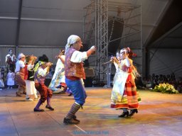 Festival de Folkore en Mula